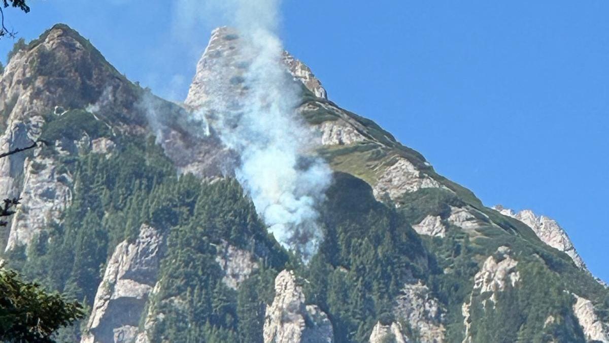 incendiu in zona Valea Bujorilor 