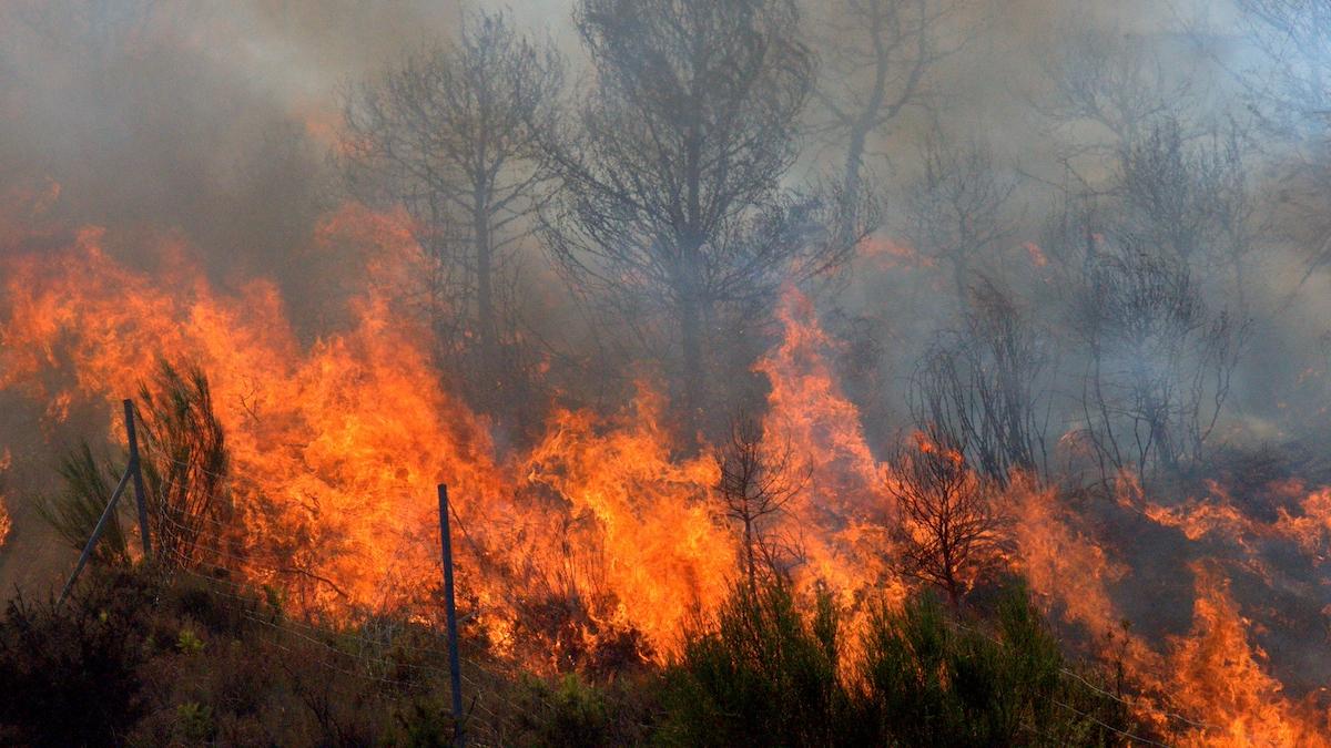 Val de incendii devastatoare izbucnite în mai multe zone din țără. Elicopterele armatei intervin