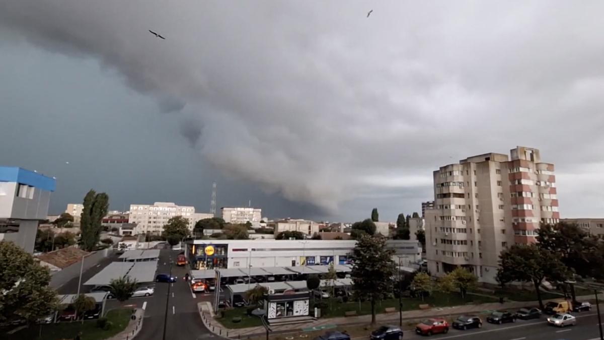 nori furtuna constanta