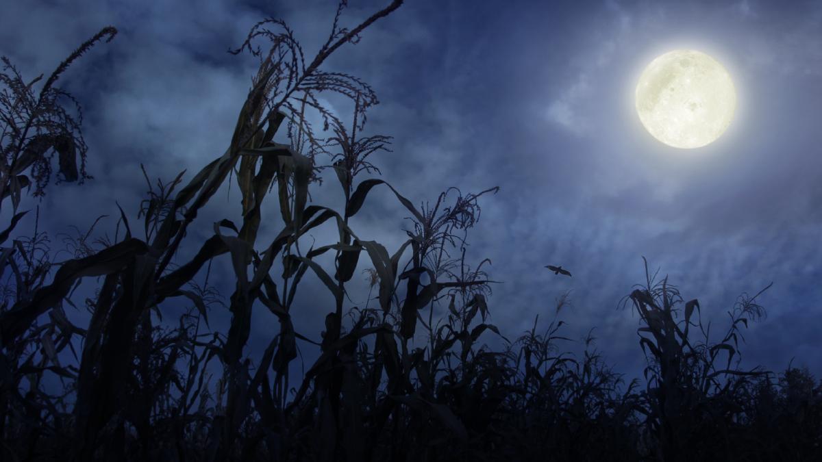 luna plina a recoltei superluna