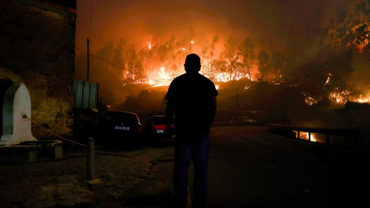 incendiu in portugalia