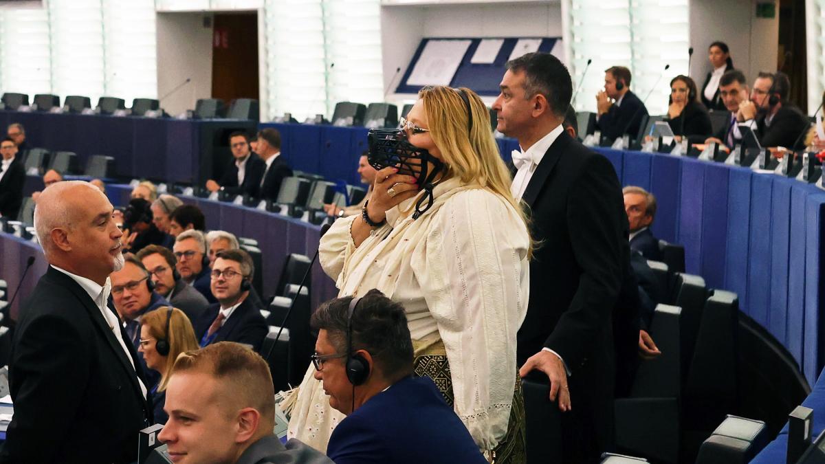 diana sosoaca cu botnita in parlamentul european