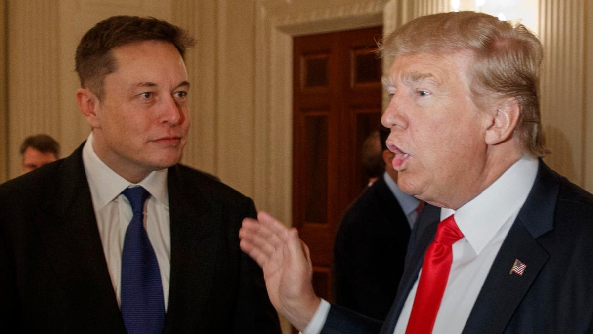 Trump, Musk - profimedia