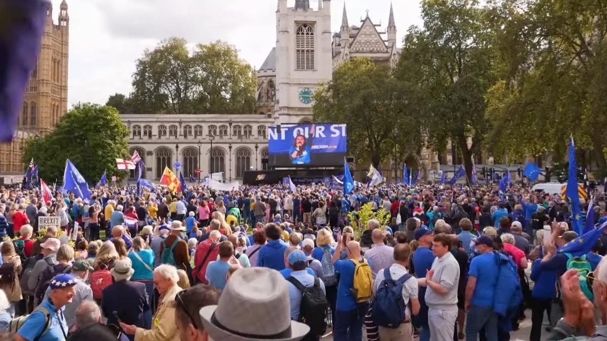 Sustinatori UE la un protest la Londra