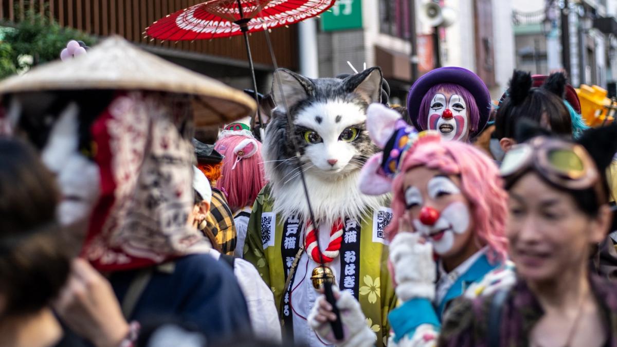 festivalul pisicilor in japonia