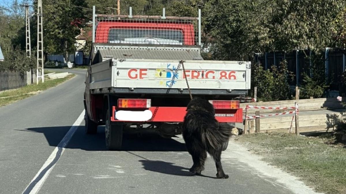 Captură de ecran 2024-10-17 170524