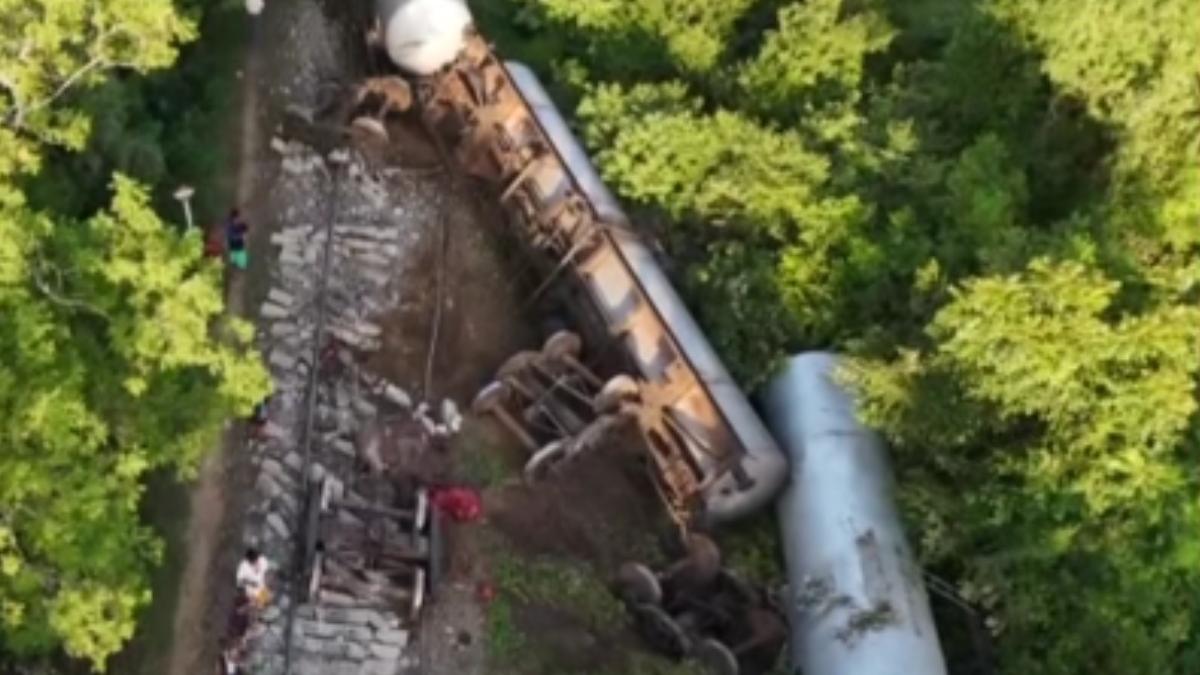 tren deraiat de elefanti in sri lanka (1)