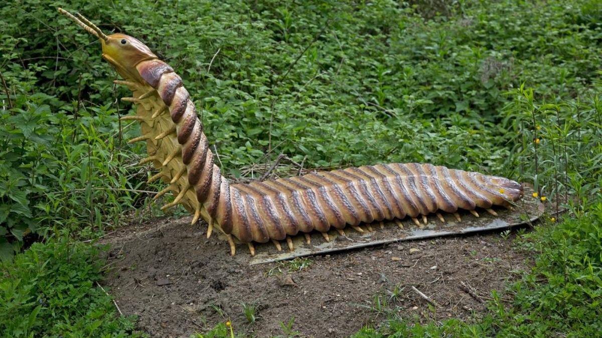 Model care infatisează Arthropleura la un parc tematic cu dinozauri din Germania