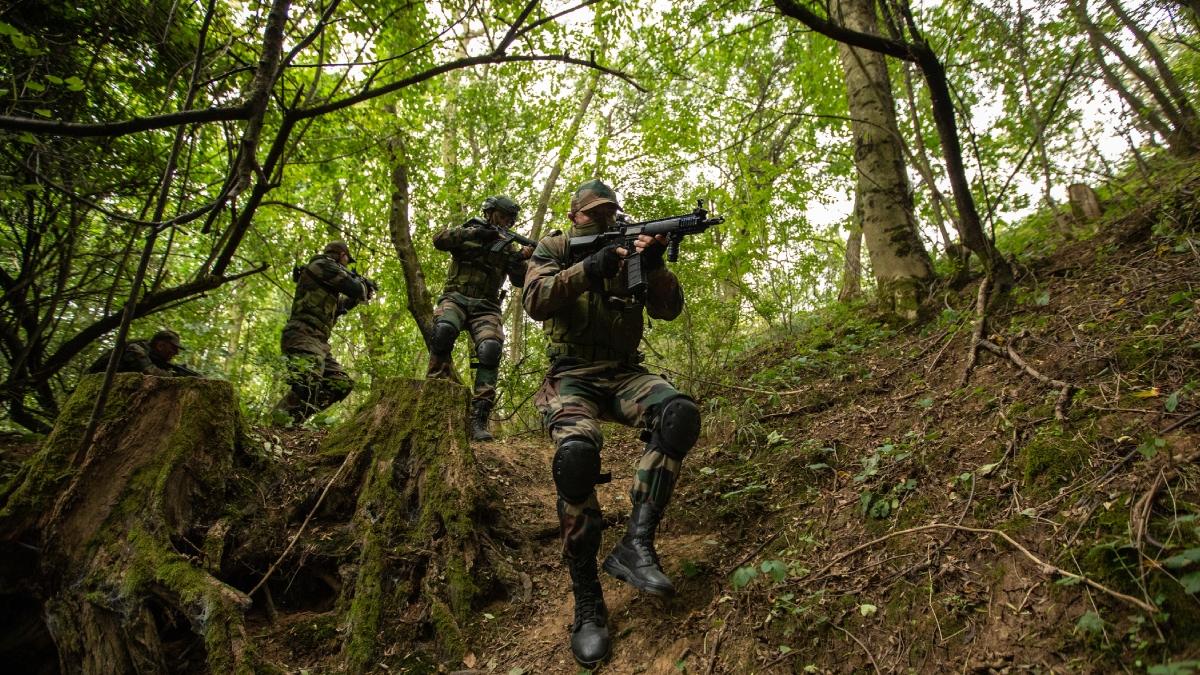 militari care se anreneaza în padure