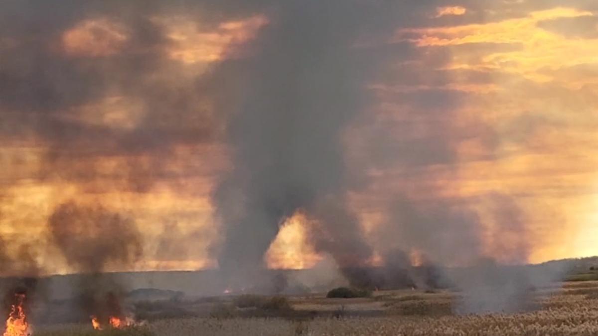 incendiu in delta neajlovului