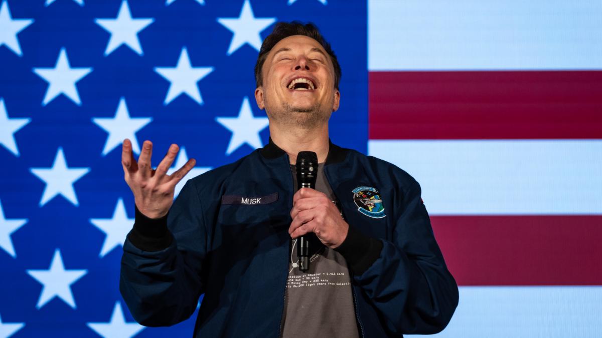 elon musk steag america