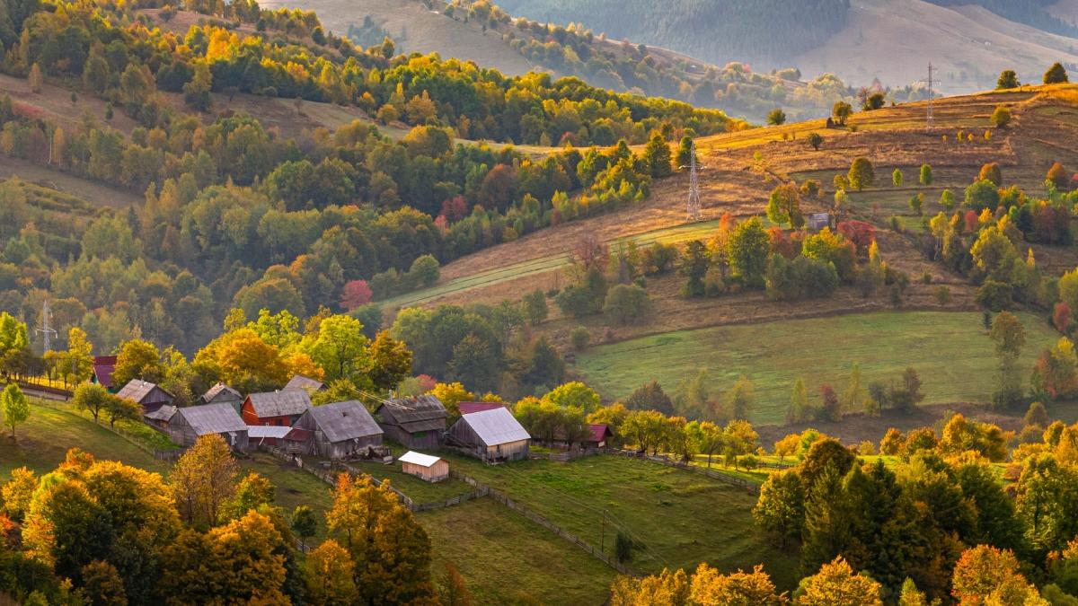 sat bucovina romania