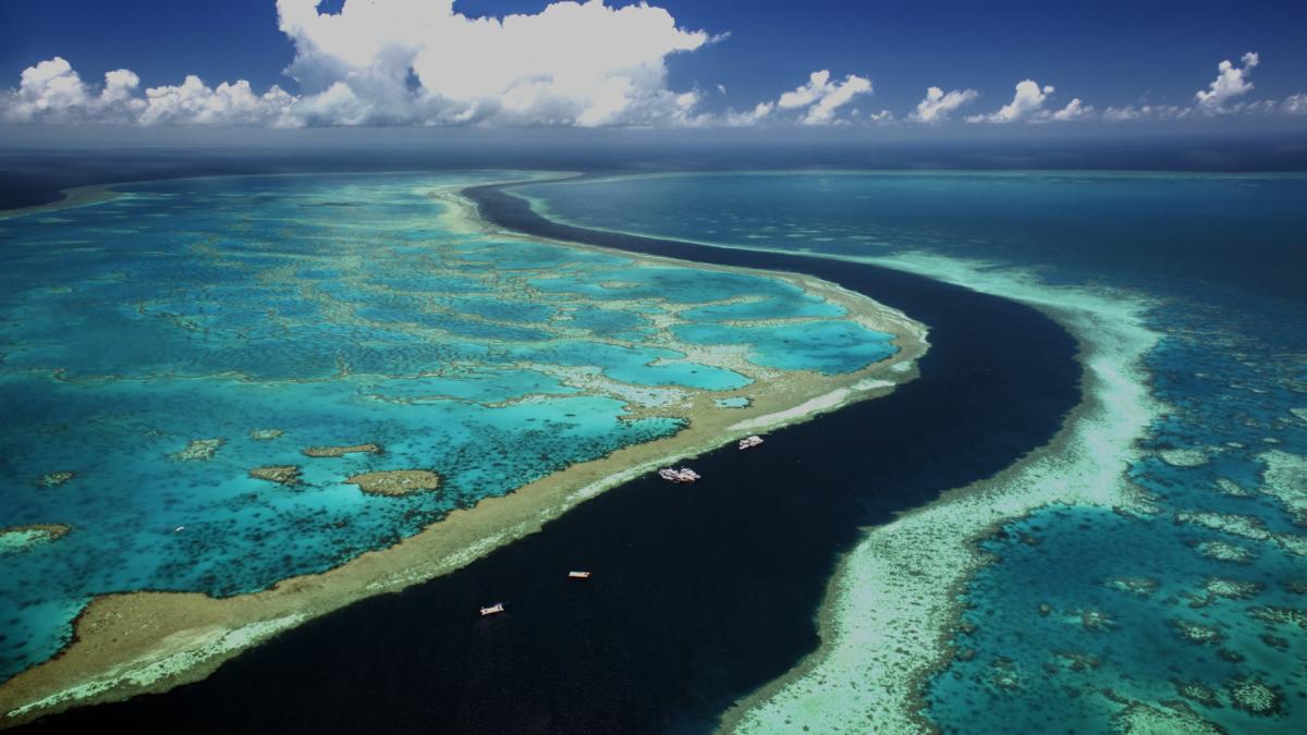 marea bariera de corali australia