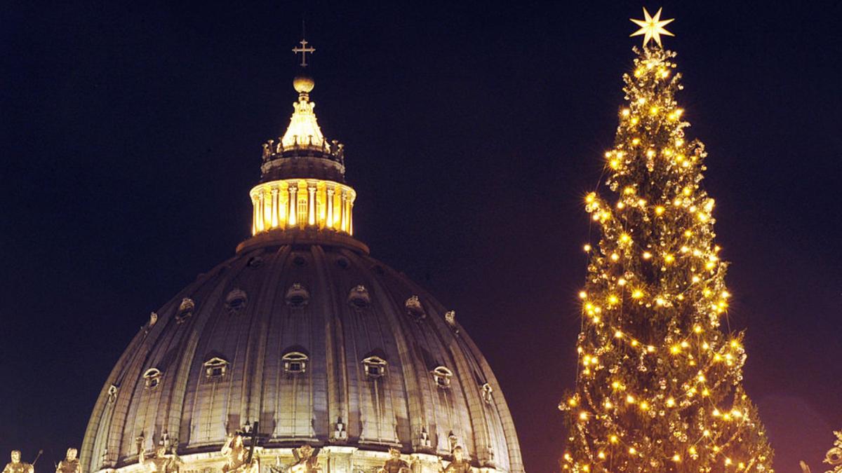 brad craciun piata sf petru vatican roma italia