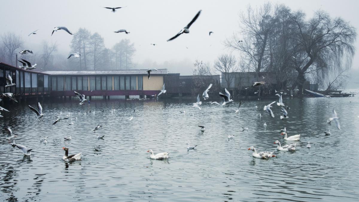 parc si vreme rece in bucuresti