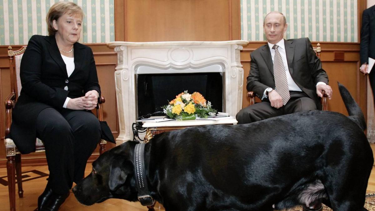 vladimir putin angela merkel caine 2007