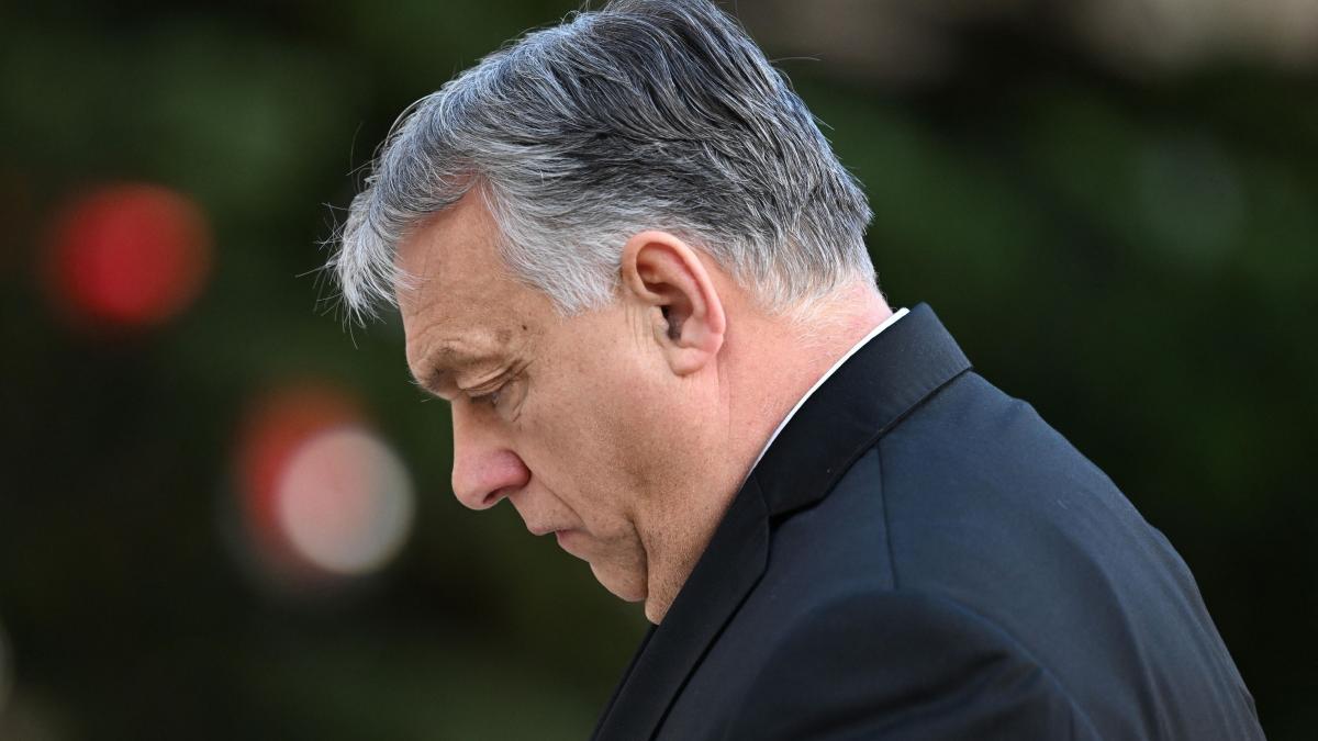 viktor orban