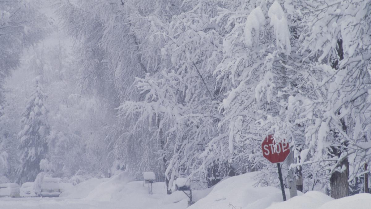 peisaj de iarna, viscol
