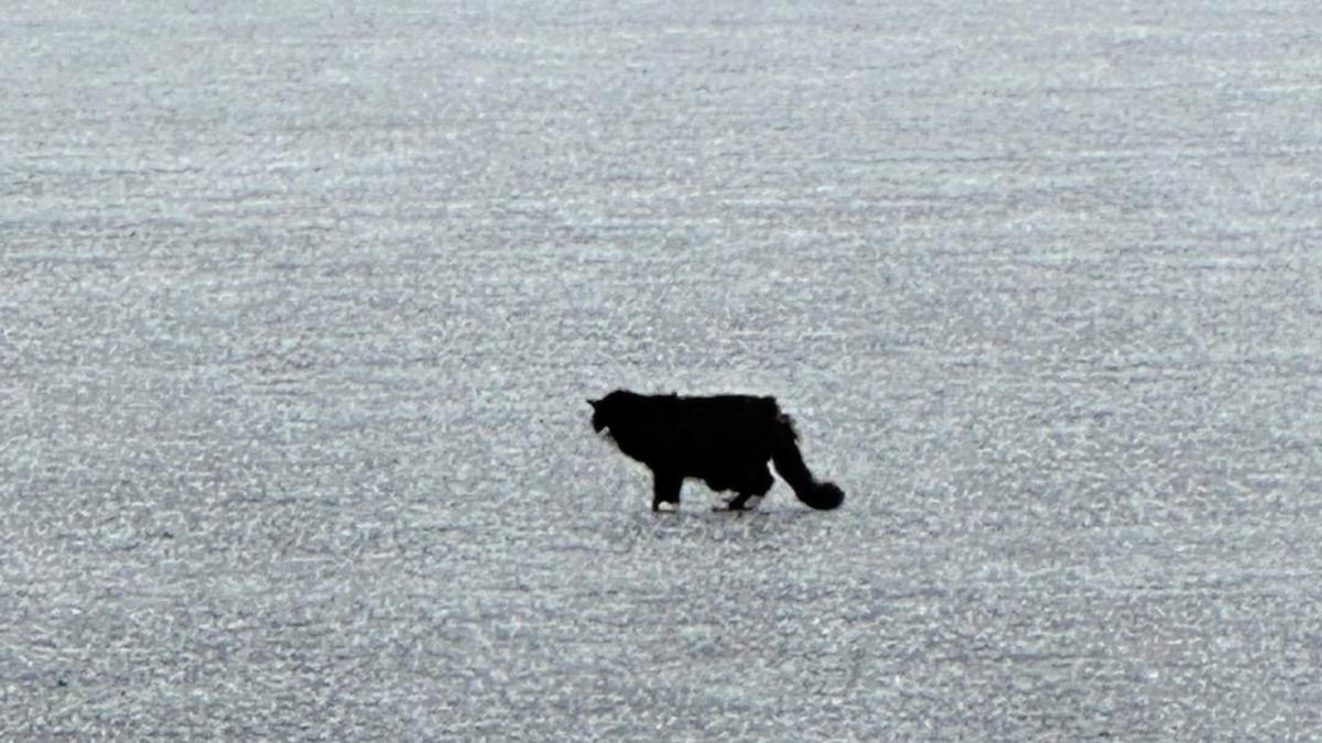 Monanul Tiki pe lacul înghețat Lacul Nabnasset din Massachusetts