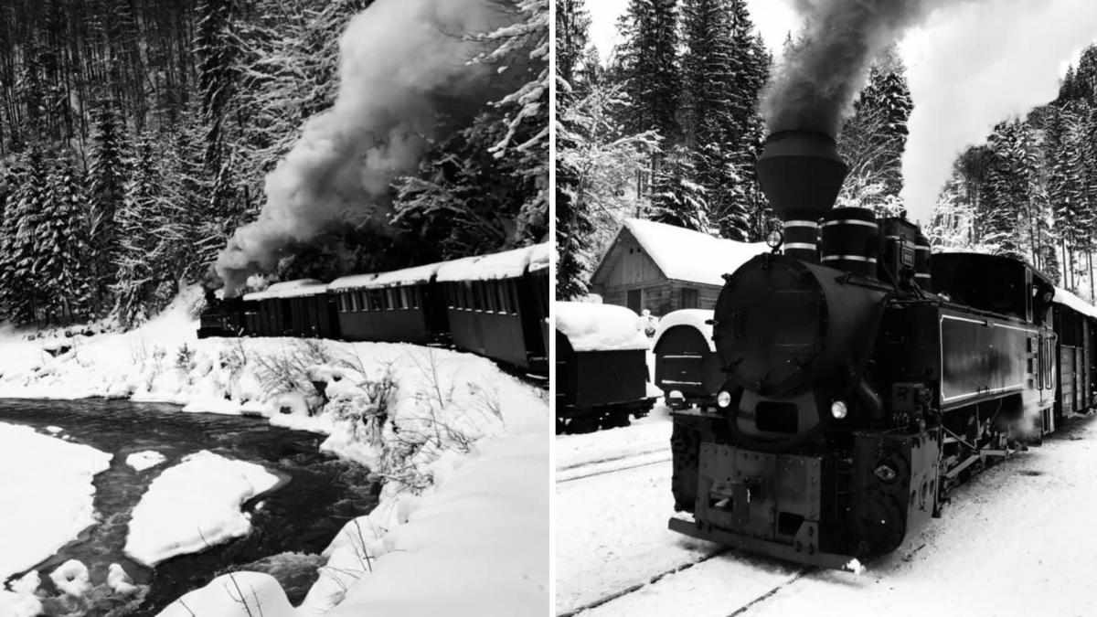 mocanita maramures valea vaserului iarna the storyalist