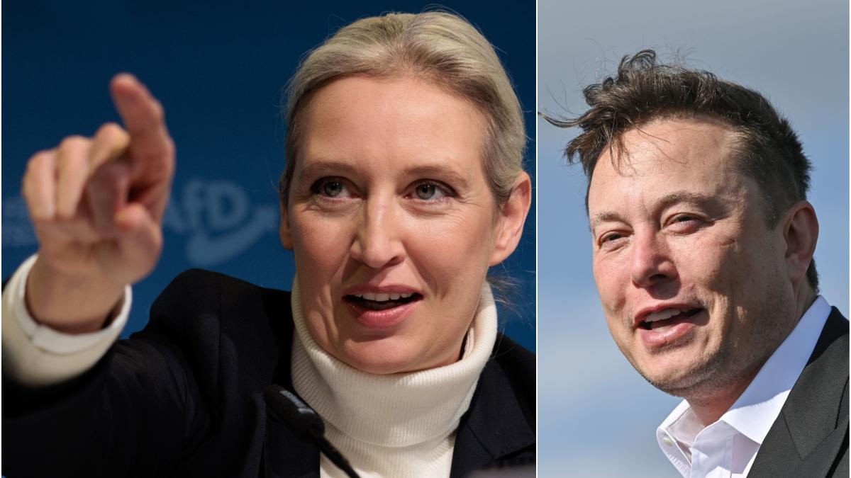 Alice Weidel AfD Elon Musk