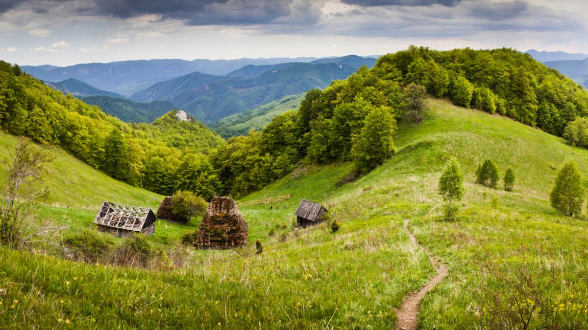 muntii apuseni natura romania