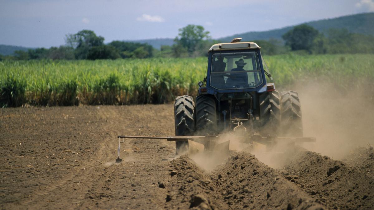 agricultura fermieri