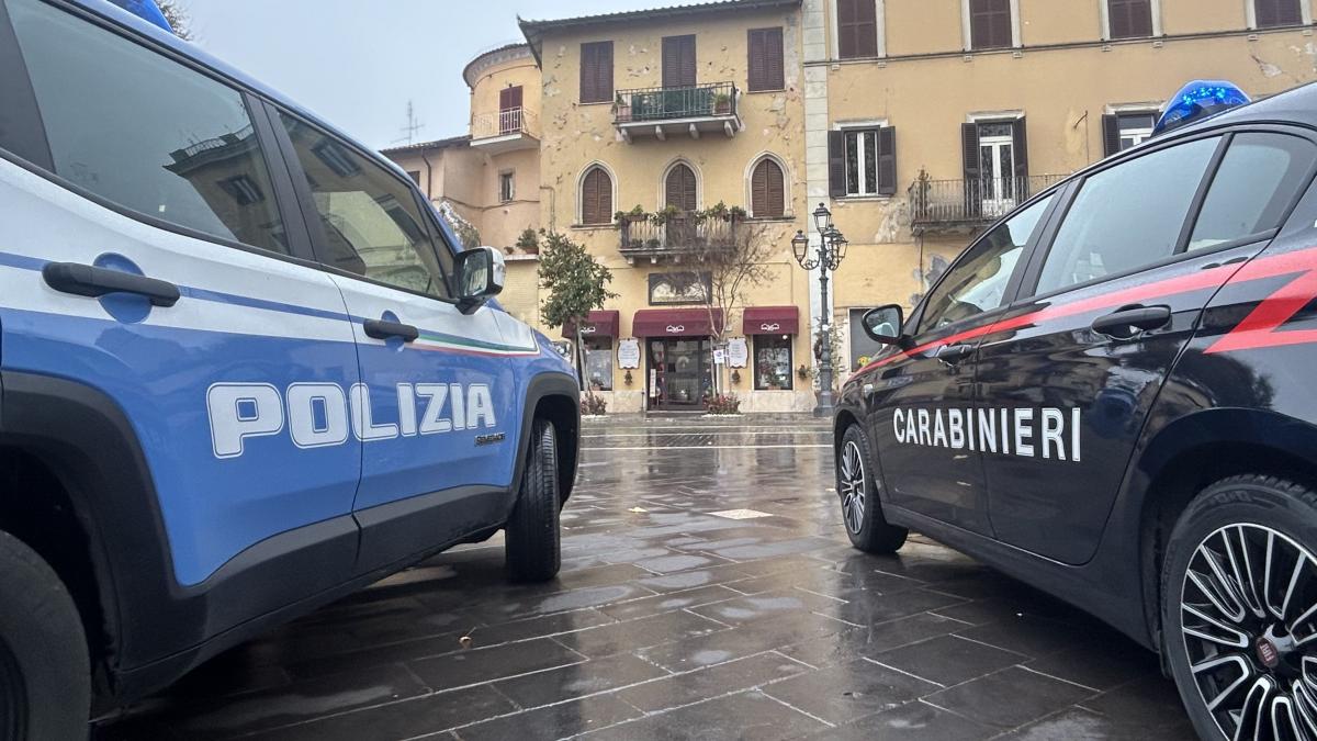 Doua masini de politie si carabinieri