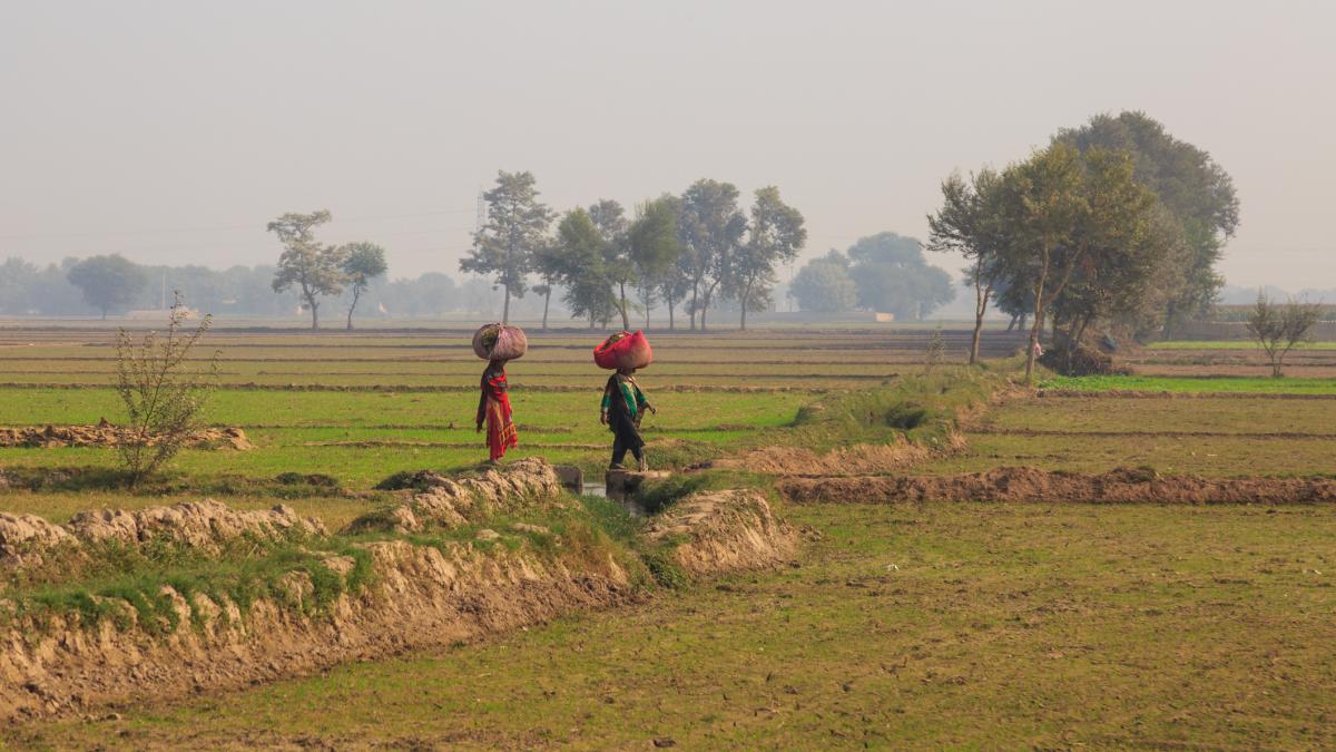 Doua femei pe camp in Pakistan