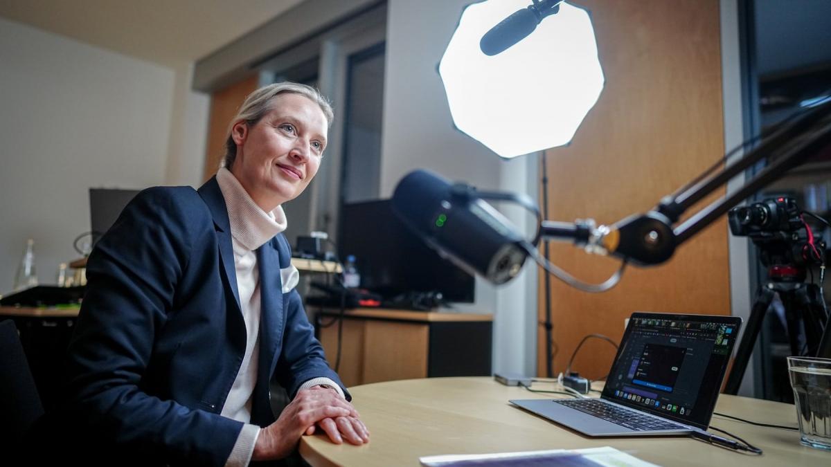 alice weidel sefa afd sursa profimedia