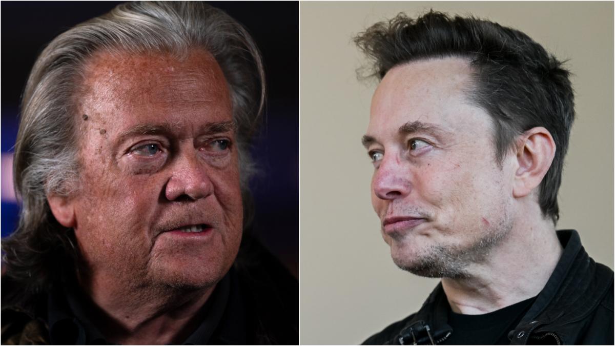 steve bannon elon musk