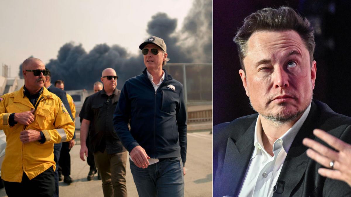 guvernator california gavin newsom incendii los angeles elon musk