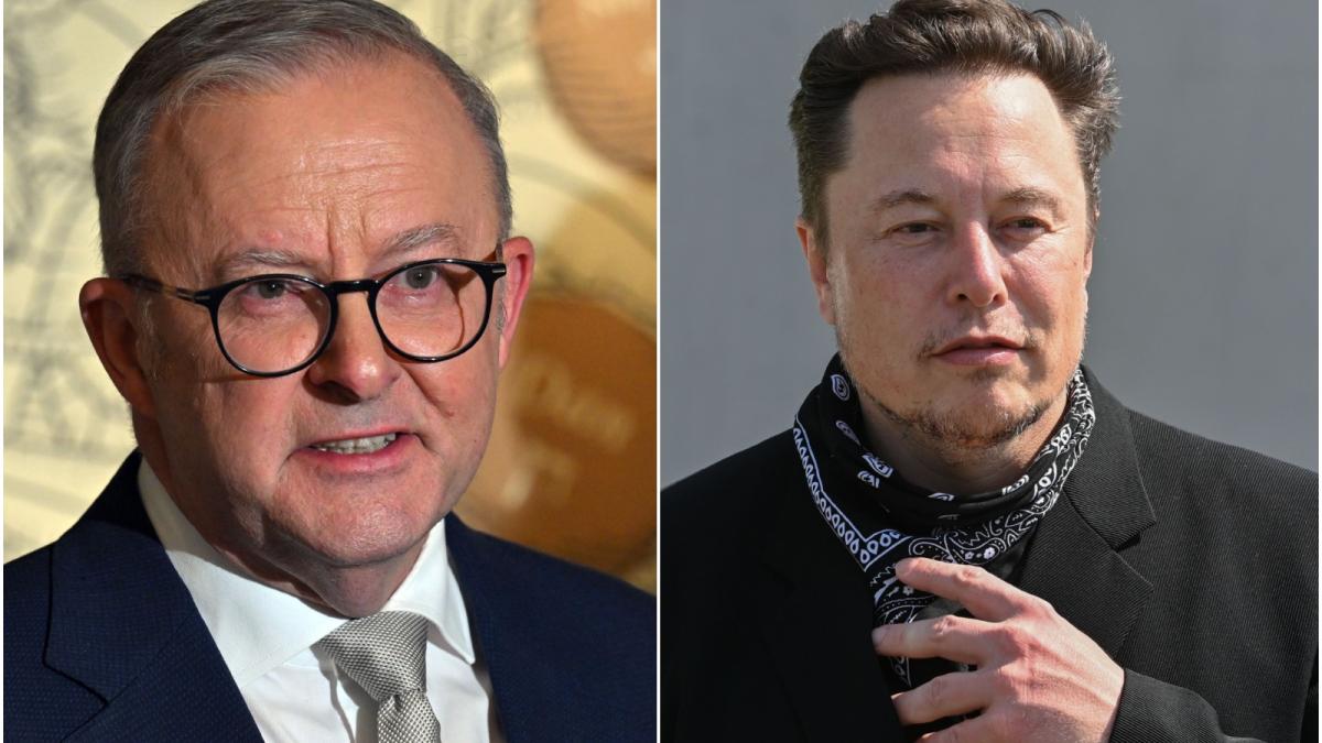 Anthony Albanese Elon Musk