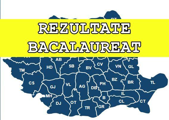 Rezultate Bacalaureat 2017 Vaslui Vezi Notele La Bac Publicate De Edu Ro