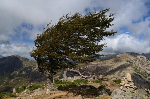 Avertizare Meteo De Ultimă Oră Care Sunt Zonele Vizate