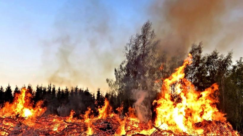 Tornadă de foc în Australia. Pompierii se luptă cu peste ...