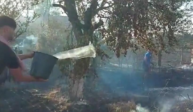 AlertÄƒ In MehedinÅ£i Un Nou Incendiu De VegetaÅ£ie A Izbucnit LangÄƒ Satul Unde Zeci De GospodÄƒrii