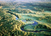 Polonia. Autostradă în rezervaţie naturală