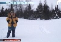 Aventura unei românce la Polul Nord