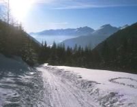 Iarna a revenit cu ninsori în Austria