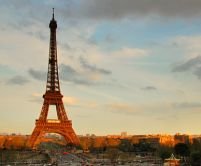 
Franţa a deschis piaţa muncii pentru specialişti
