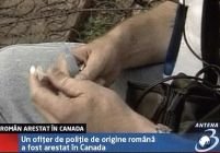 Canada. Poliţist român arestat într-un raid anti-drog
