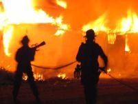 Mafia a provocat incendiile de pădure din Italia
