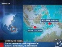 Indonezia a fost zguduită de trei cutremure 