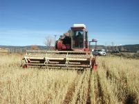 România ar putea primi un ultimatum pe agricultură din partea UE 
