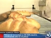 Preţul pâinii va creşte cu 50% până la sfârşitul anului

