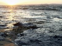 Dezastru ecologic. Sulful din navele scufundate poluează Marea Neagră