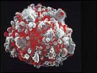 Eşec în încercarea cercetătorilor de a controla HIV prin antiviruşi 