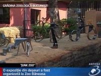 ?Junk made at the Zoo?, expoziţie inedită organizată în fosta cuşcă a elefantului Gaia