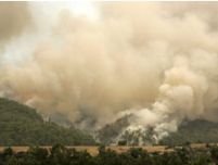 Incendii de vegetaţie în Antalya. Doi oameni dispăruţi şi 10.000 de ha de pădure distruse
